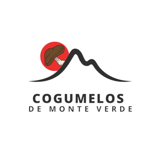 Cogumelos de Monte Verde
